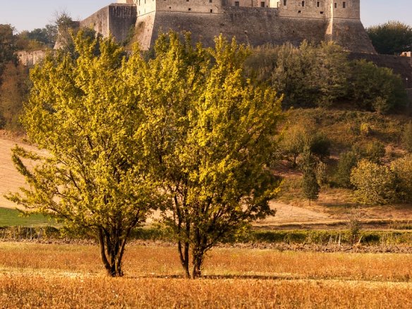 Castle