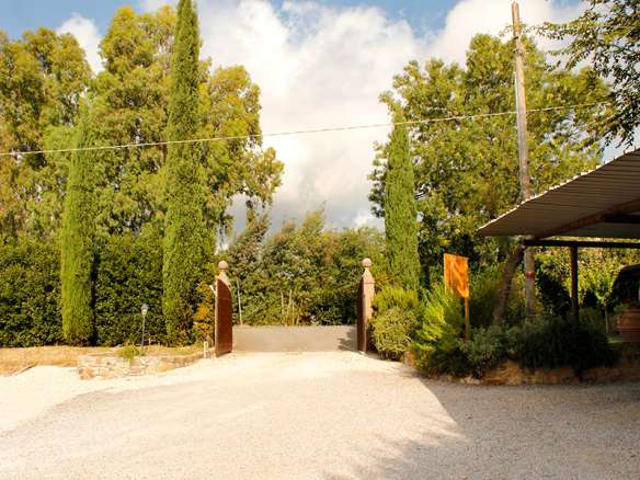 Agriturismo for sale in Tuscany Restaurant Vineyard and Olive Grove