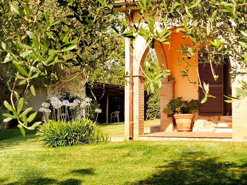 Agriturismo for sale in Tuscany Restaurant Vineyard and Olive Grove