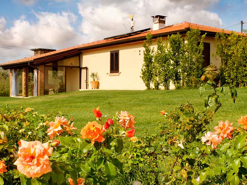 Agriturismo for sale in Tuscany Restaurant Vineyard and Olive Grove