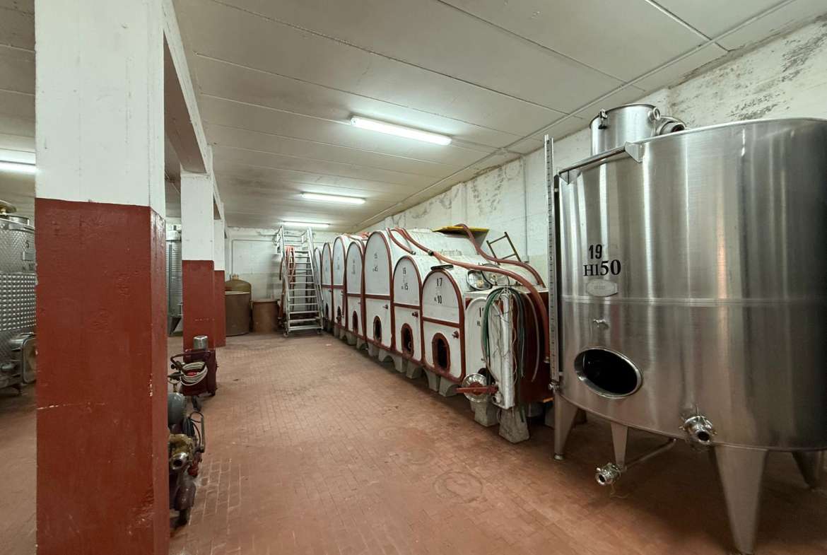 Charming Estate in Tuscany – DOC Vineyard and Guest Accommodation
