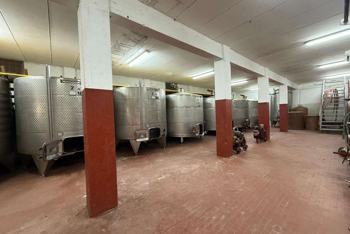 Charming Estate in Tuscany – DOC Vineyard and Guest Accommodation