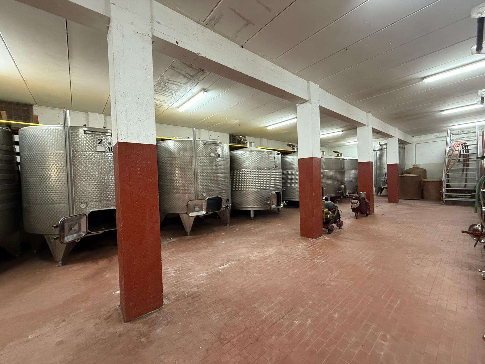 25473 Charming Estate in Tuscany – DOC Vineyard and Guest Accommodation