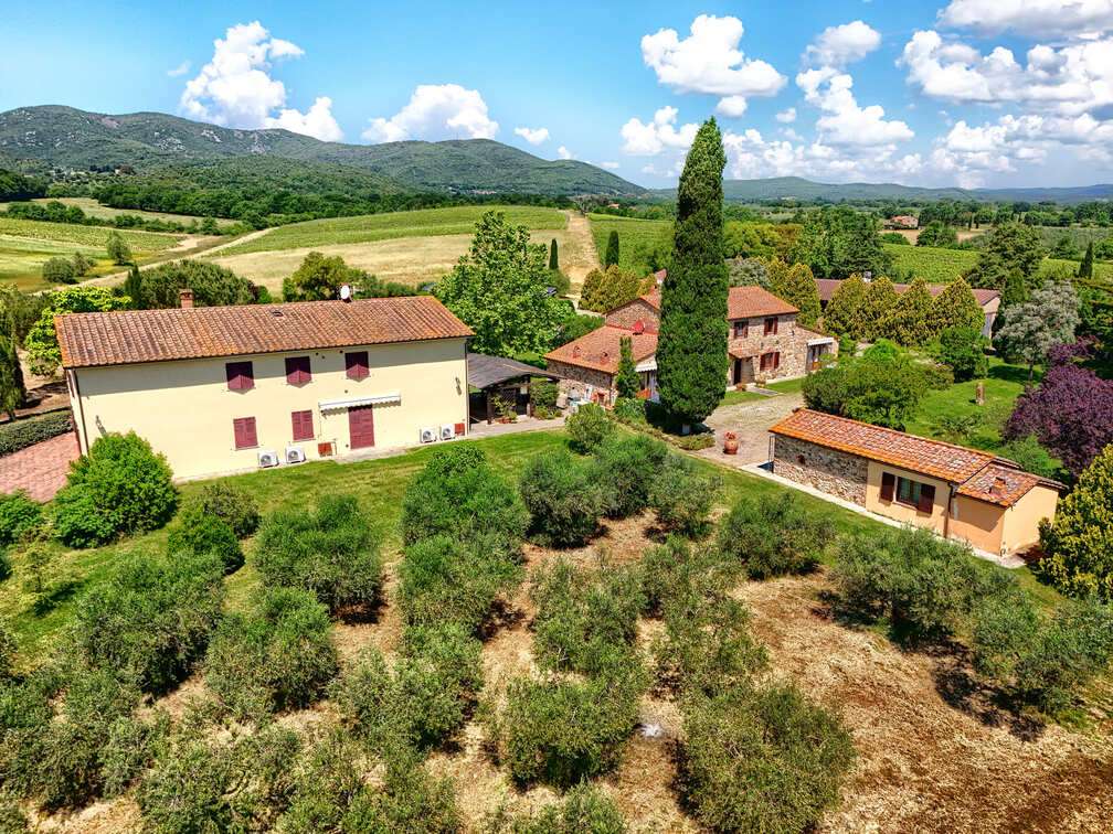 Charming Estate in Tuscany – DOC Vineyard and Guest Accommodation