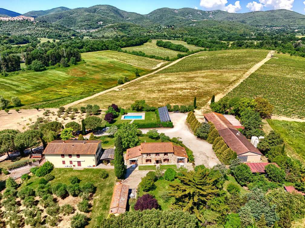 Charming Estate in Tuscany – DOC Vineyard and Guest Accommodation