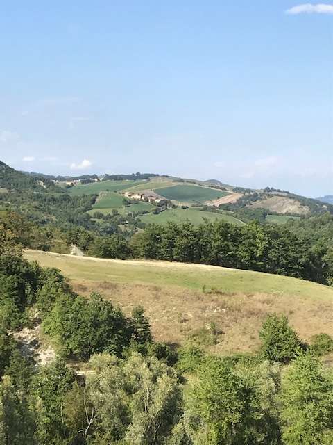 Podere Codignola