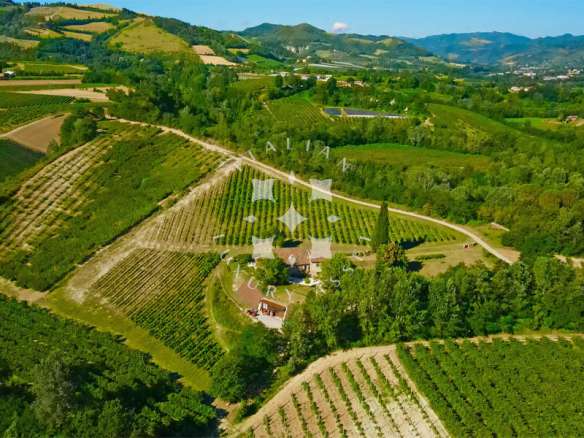 A Historic Wine Estate with Agriturismo in the Hills of Brisighella