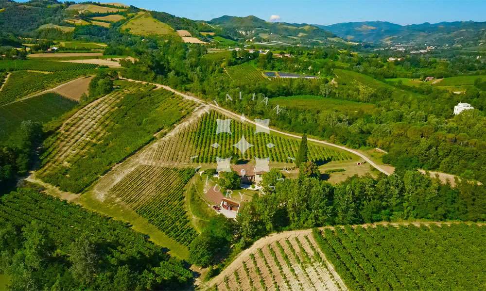 A Historic Wine Estate with Agriturismo in the Hills of Brisighella