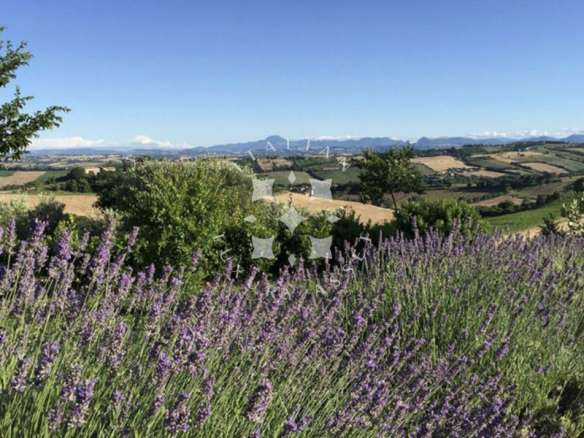 A Restored Boutique Hotel with Pool in the Hills of Le Marche