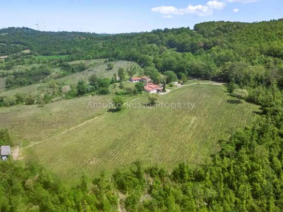 Winery for sale in Scansano