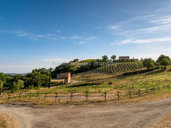 Farmhouse with winery and olive grove for sale near Saturnia, Maremma Tuscany