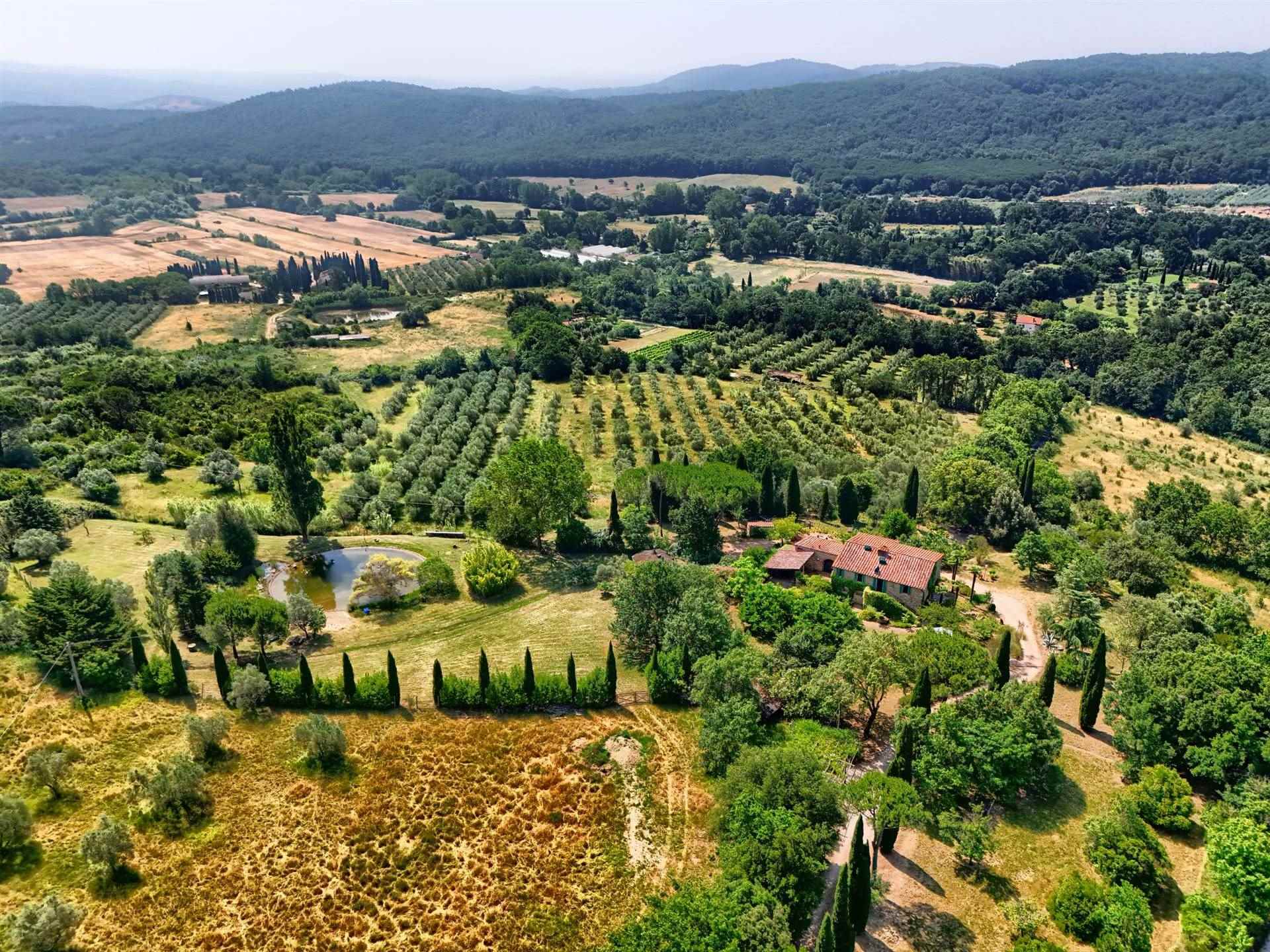 Farmhouse with 4 bedrooms in Sassetta, Livorno, Tuscany, Italy