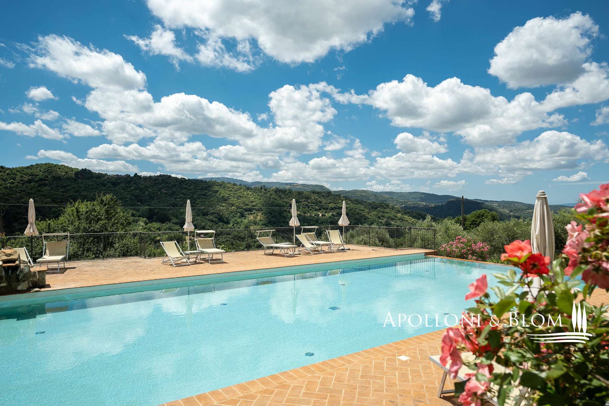 099b080d-0a64-4f6f-a843-0e3920af6907 Farmhouse in Seggiano, Grosseto, Italy