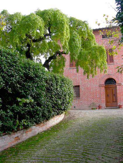 House with 2 bedrooms in Castiglione Del Lago, Perugia, Tuscany, Italy