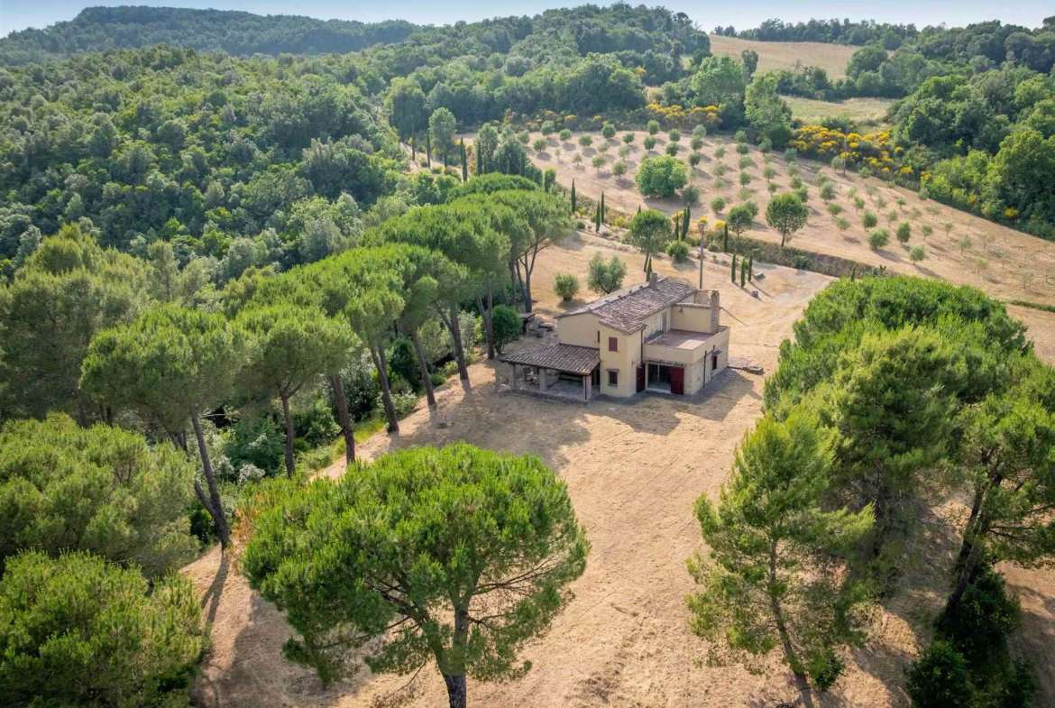 Farmhouse with 4 bedrooms in Bibbona, Livorno, Tuscany, Italy