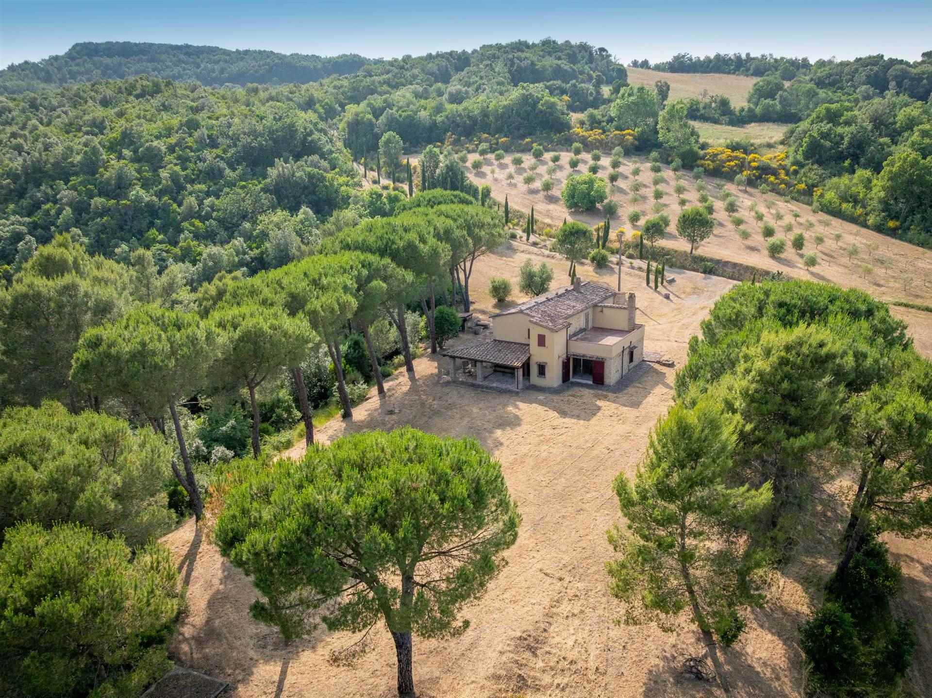0bcd59e1e16684b32fcb80150779841e Farmhouse with 4 bedrooms in Bibbona, Livorno, Tuscany, Italy