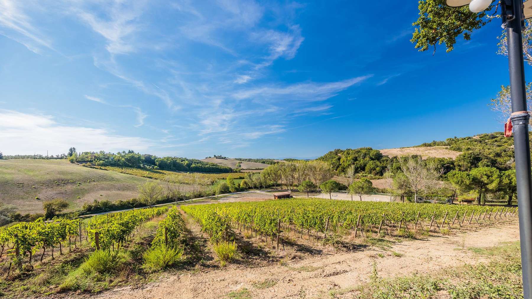 1779287074_6a0dc2c02b42c37j5maapj Agritourism Retreat in Castelfiorentino, Tuscany