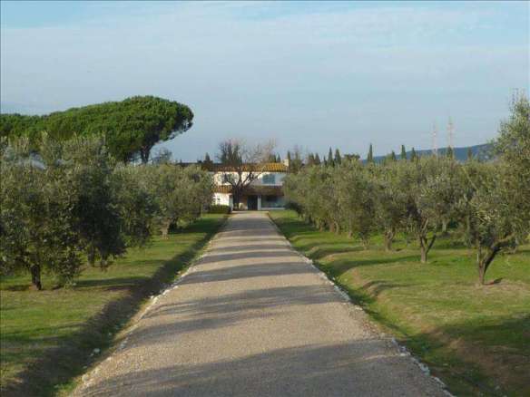 BOLGHERI – Charming country house in the heart of Bolgheri vineyards