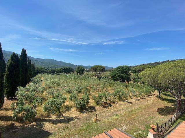 Agritourism Property with 8 Hectares of Land Near the Sea