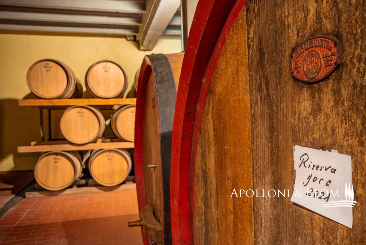 Country Estate in Gaiole In Chianti, Siena, Italy