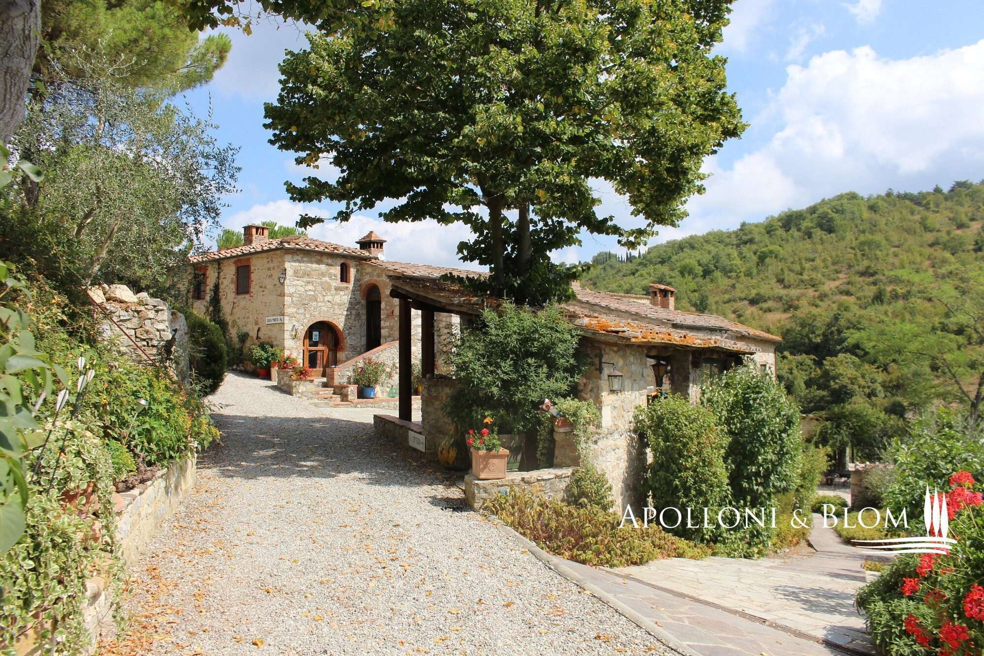 4c929351-0c95-4365-b4b4-9cbccd7b524c Farmhouse in Castellina In Chianti, Siena, Italy