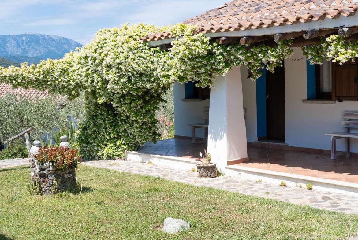 Country Estate in Galtellì, Nuoro, Italy