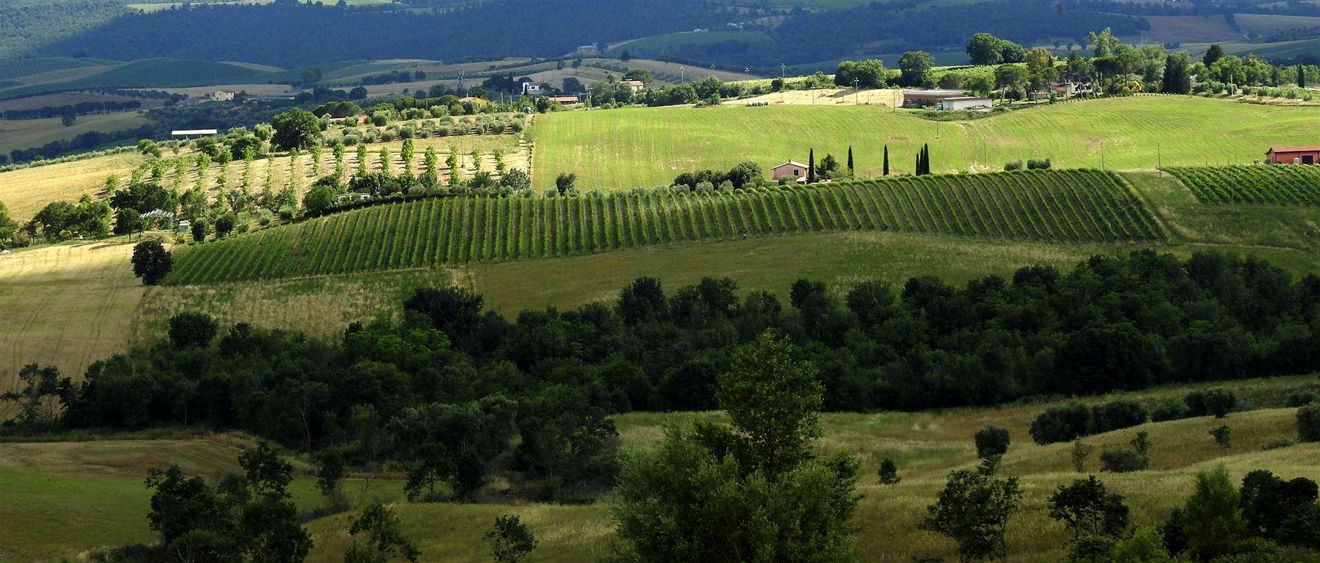 7e2326a32b3f6b633259d2a76eefd1c2 Farmhouse with 3 bedrooms in Scansano, Grosseto, Tuscany, Italy