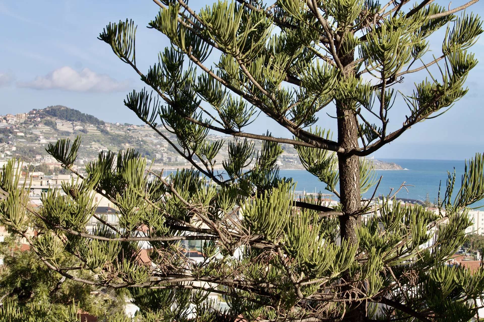 811a30b1884345b8343ea5e4ed3c9166_d320522fdf_1920-original Villa Adele – Elegant Portion of Villa with a Breathtaking View for Sale in Sanremo