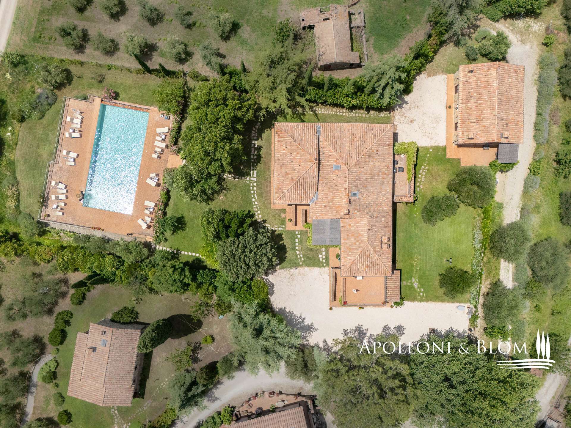 8509281b-0c19-4fc2-a277-de6bb9a8575a Farmhouse in Seggiano, Grosseto, Italy