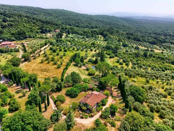 Farmhouse with 4 bedrooms in Sassetta, Livorno, Tuscany, Italy