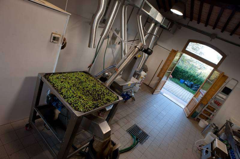 Farmhouse with 1 bedrooms in Pontedera, Pisa, Tuscany, Italy
