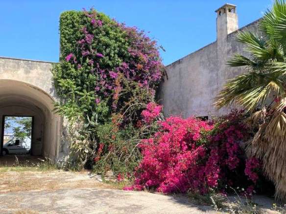 Magnificient Massera with Sea View – to Develop – by the Ioanian Sea