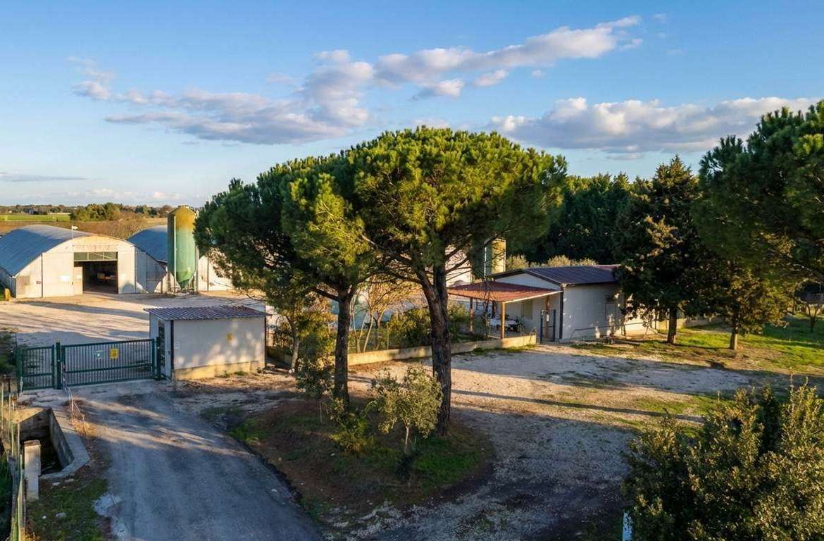 Farmhouse with 1 bedrooms in Castiglione Del Lago, Perugia, Tuscany, Italy