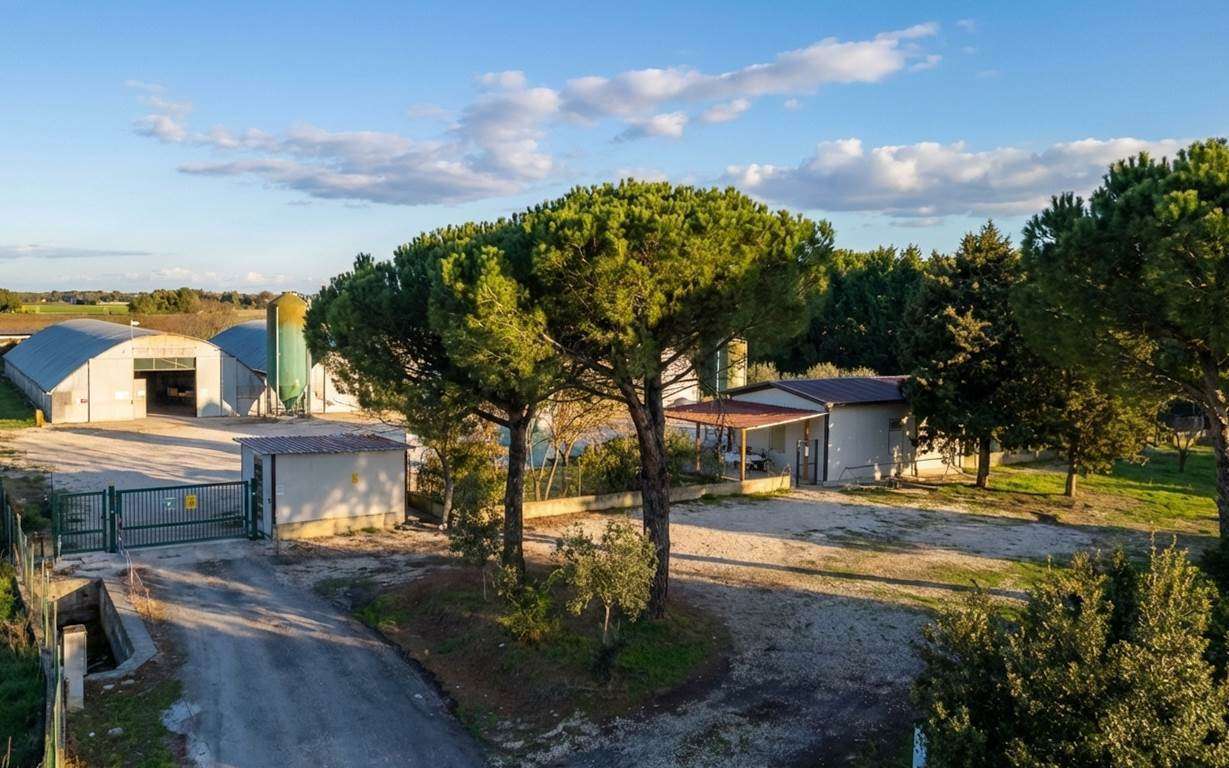 ac159826b42fd68d1e7e2091f20f71db Farmhouse with 1 bedrooms in Castiglione Del Lago, Perugia, Tuscany, Italy
