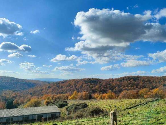 Farmhouse with 2 bedrooms in Asciano, Siena, Tuscany, Italy