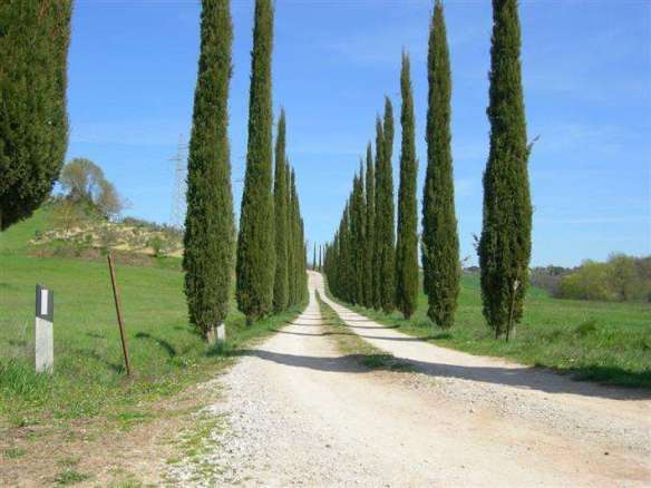House with 2 bedrooms in Castiglione Del Lago, Perugia, Tuscany, Italy