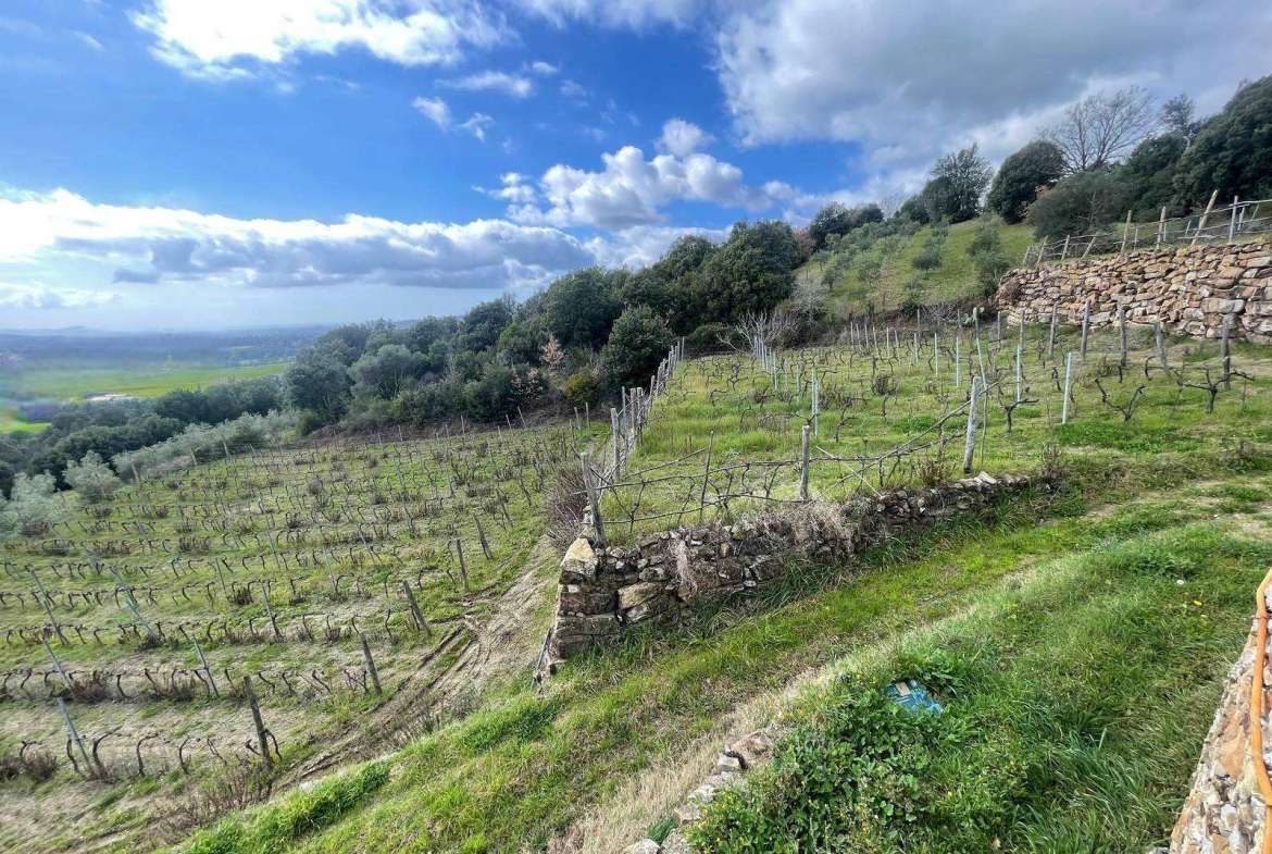 Farmhouse with 3 bedrooms in Massa Marittima, Grosseto, Tuscany, Italy