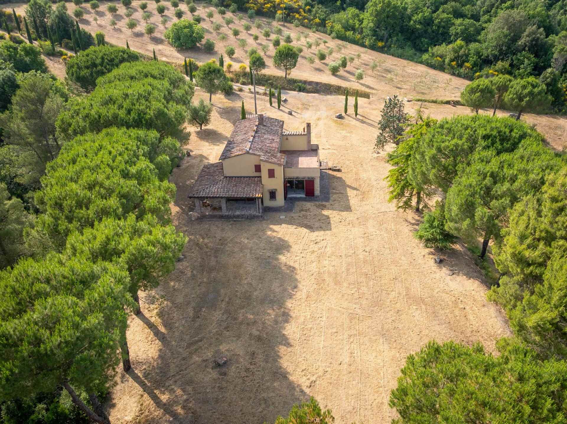 ea76e894f91adc92e50204a792009d19 Farmhouse with 4 bedrooms in Bibbona, Livorno, Tuscany, Italy
