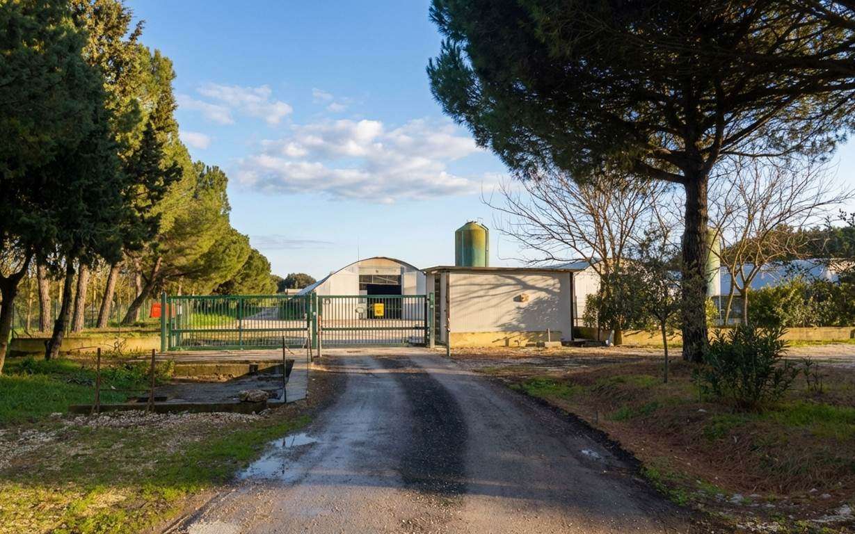 f16efa33add66180f97ff66222002c89 Farmhouse with 1 bedrooms in Castiglione Del Lago, Perugia, Tuscany, Italy