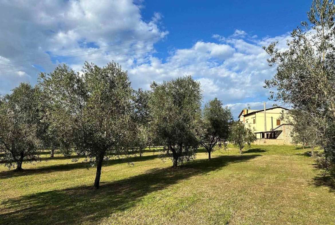 Farmhouse with 10 bedrooms in Follonica, Grosseto, Tuscany, Italy