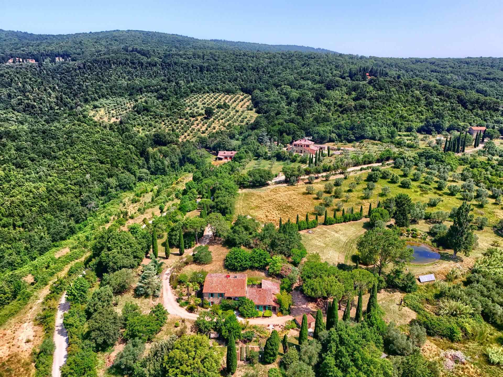 Farmhouse with 4 bedrooms in Sassetta, Livorno, Tuscany, Italy