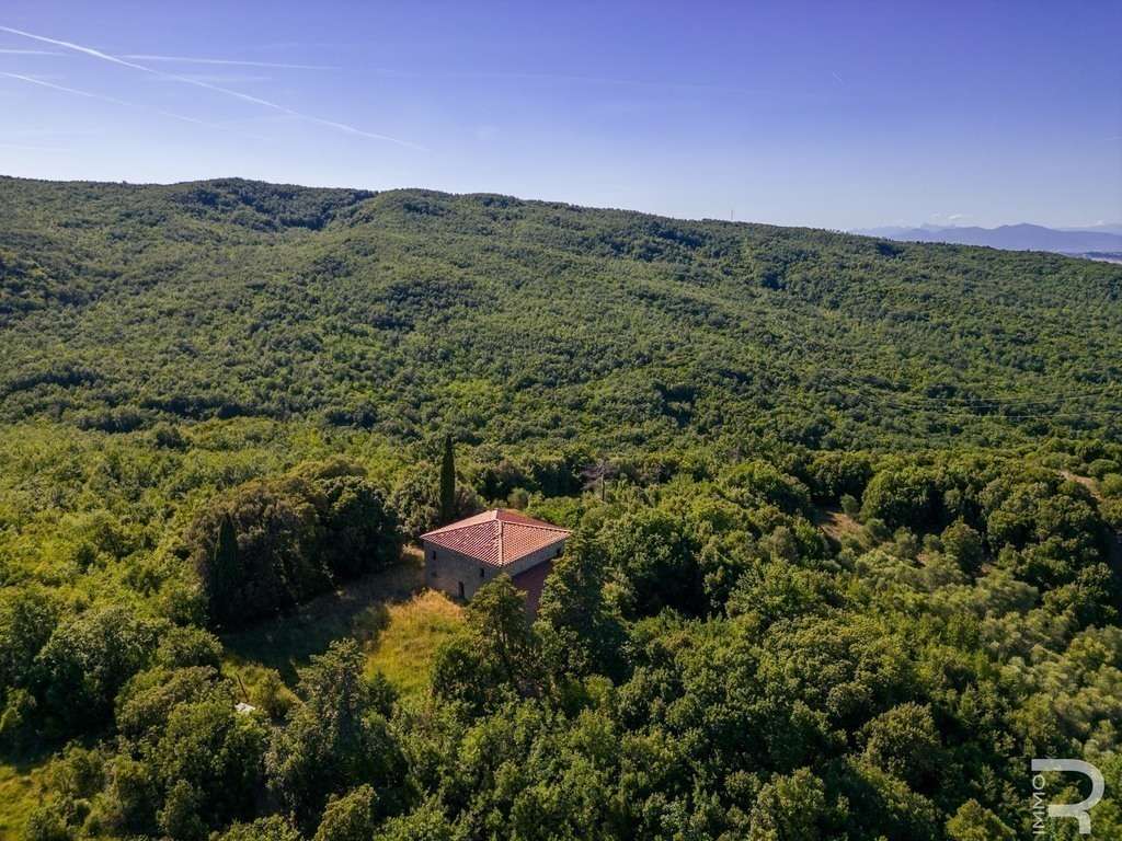 Farmhouse/Rustico – Lajatico