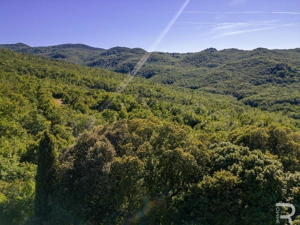 Farmhouse/Rustico – Lajatico