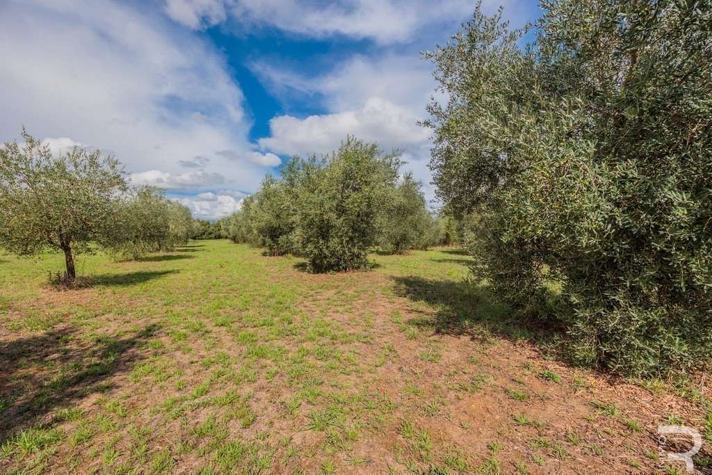 Farmhouse/Rustico – Gavorrano