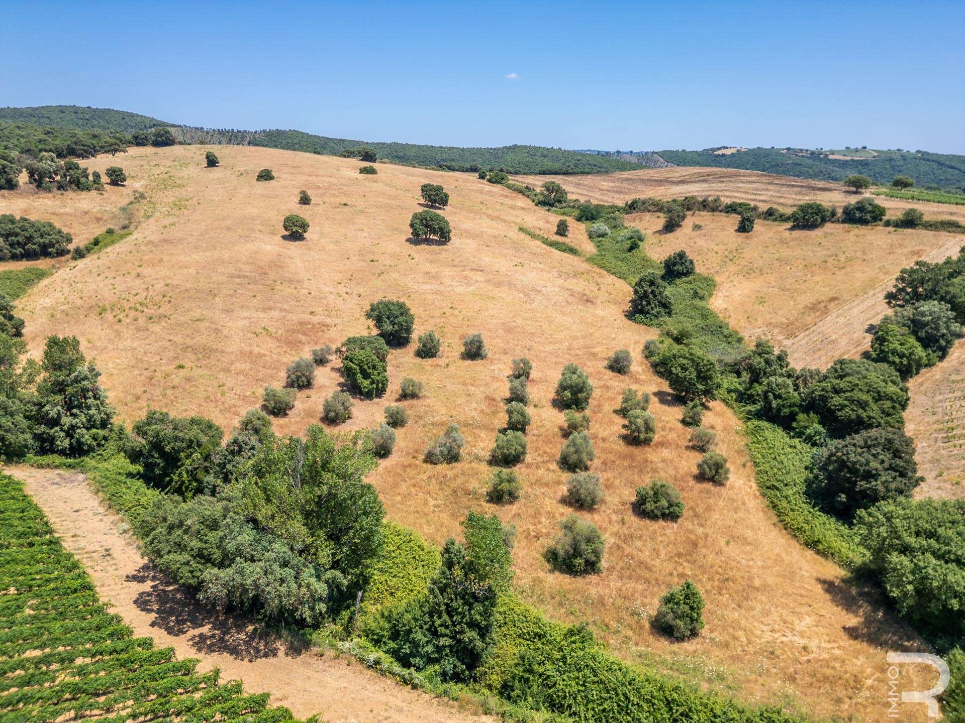 20_BHLbA7a Farmhouse/Rustico – Magliano in Toscana