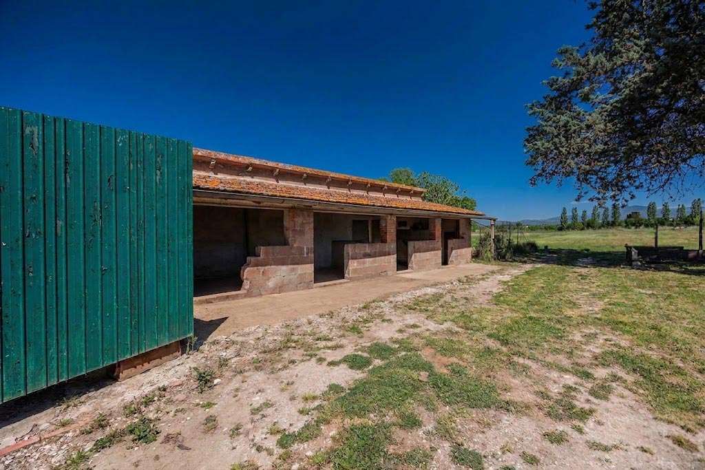 Farmhouse/Rustico – Foiano della Chiana