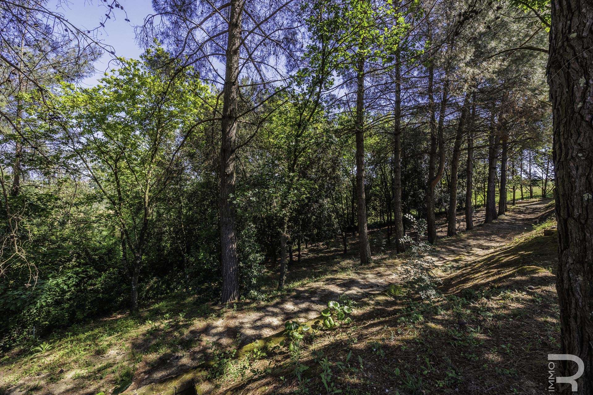 22_UGVrxMs Villa – Fucecchio