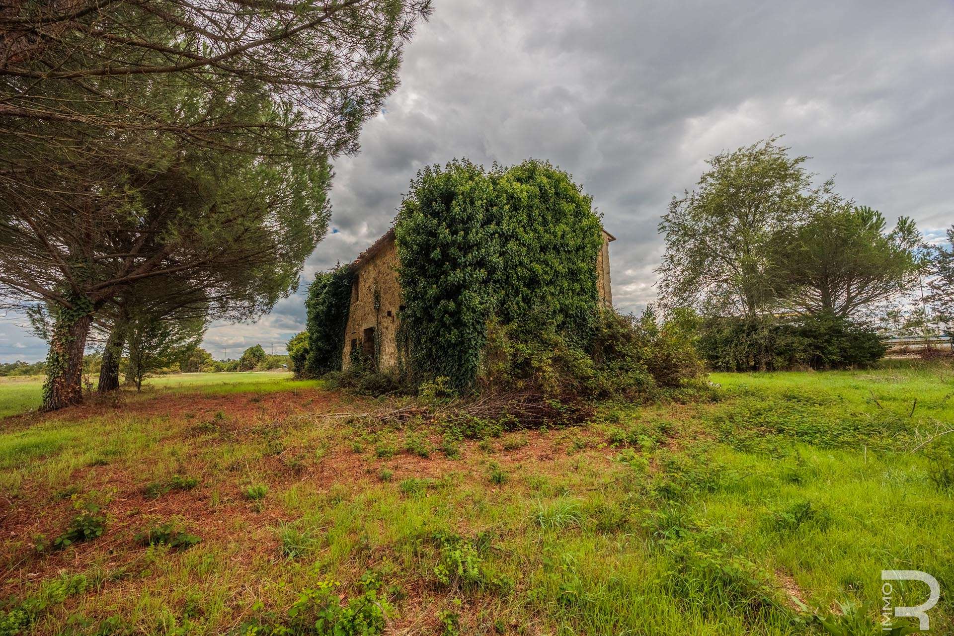 Farmhouse/Rustico – Cortona