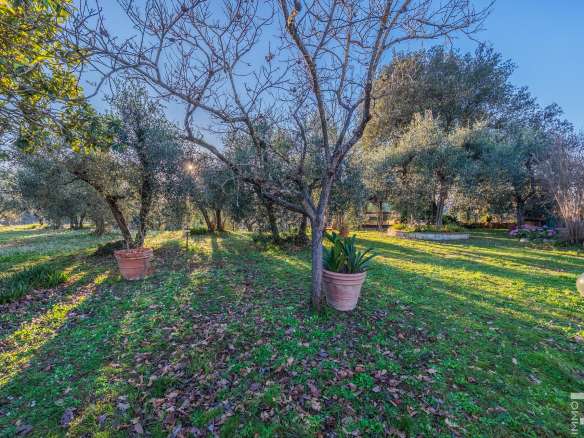 Farmhouse/Rustico – Colle di Val d`Elsa