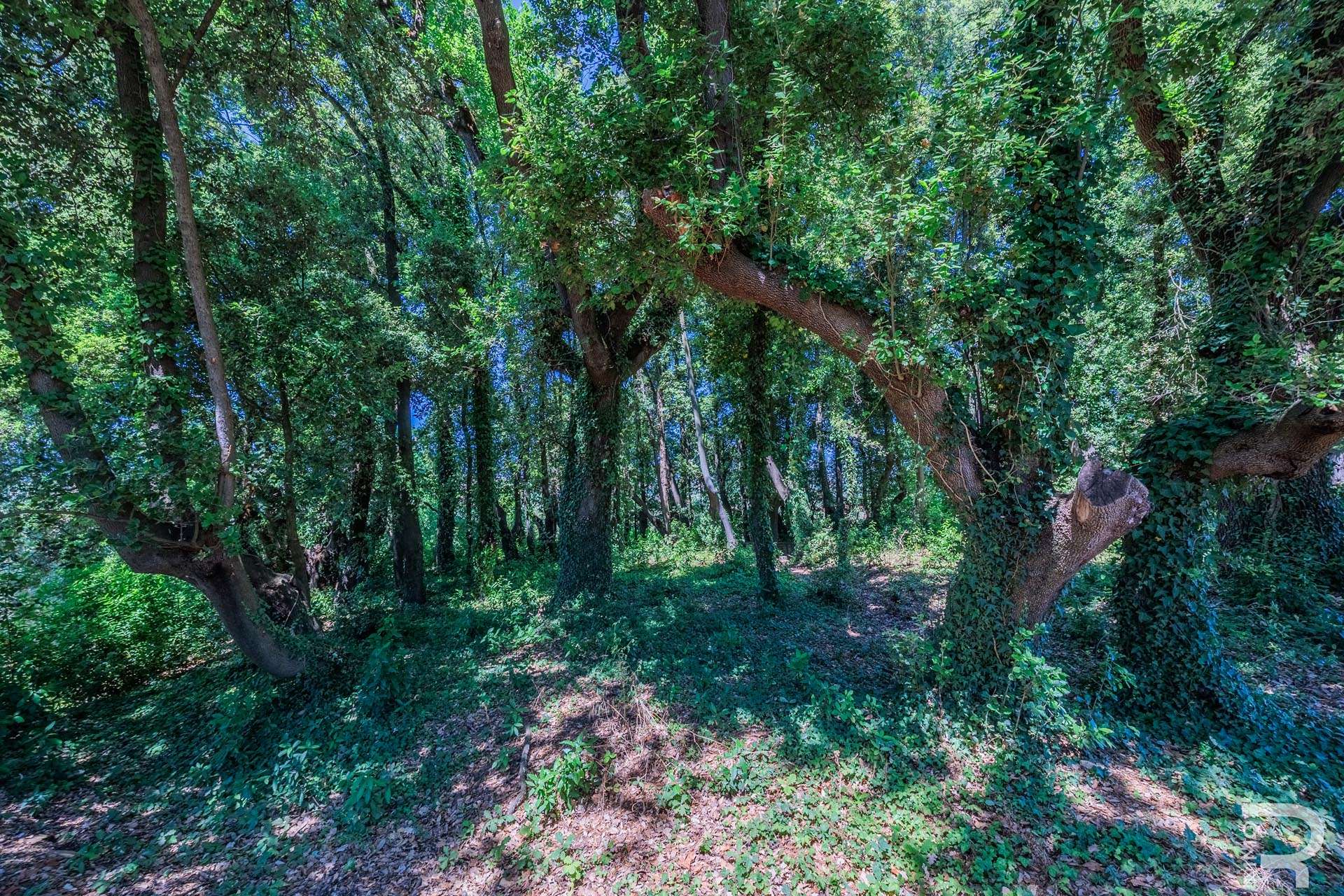 29_hStHKoq Villa – Cerreto Guidi